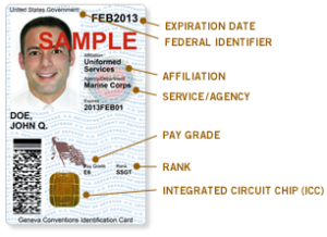 buy a fake id card online