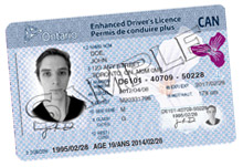 How To Get Canadian Driver's License Without Test