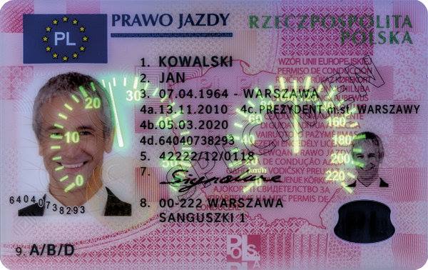 Get Polish Drivers License